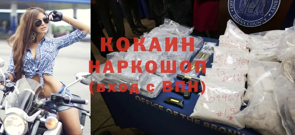 гидра Абаза